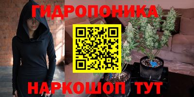 прущие грибы Ливны