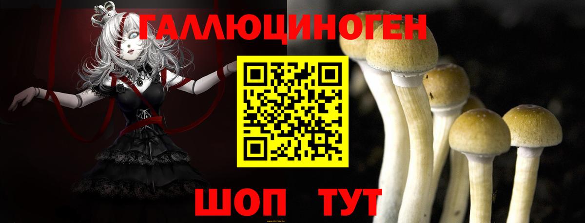 продажа наркотиков  Вход с VPN  Псилоцибиновые грибы MAGIC MUSHROOMS  Каменск-Уральский  Галлюциногенные грибы MAGIC MUSHROOMS 